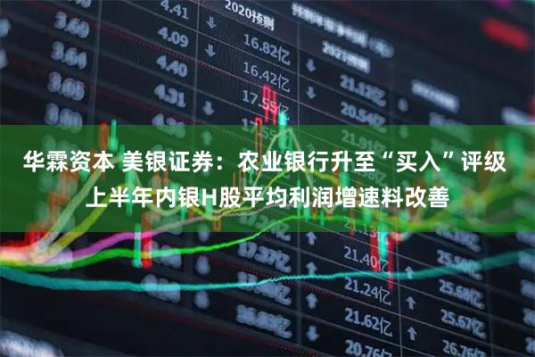 华霖资本 美银证券：农业银行升至“买入”评级 上半年内银H股平均利润增速料改善